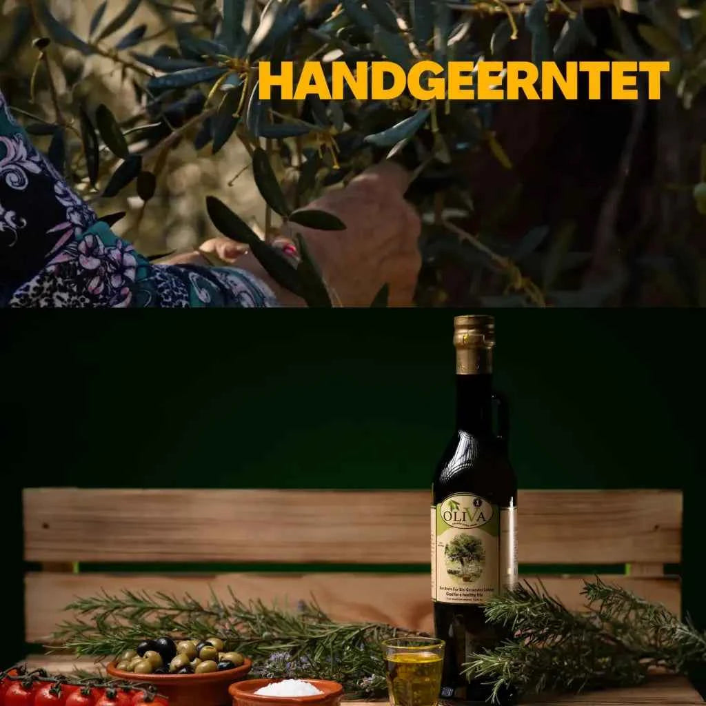 Bio-Olivenöl extra nativ Oliva1® (EVOO)