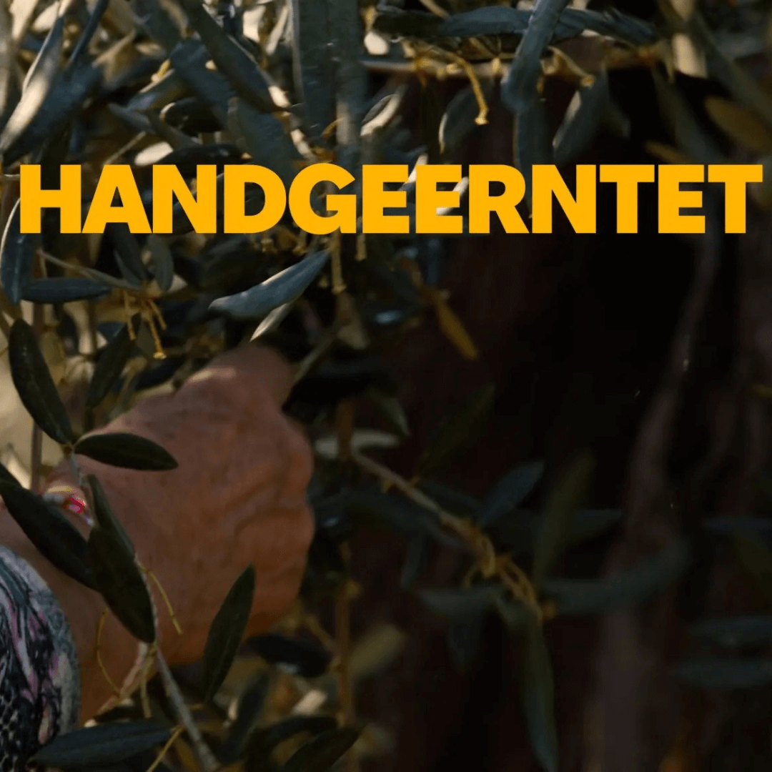 Bio-Olivenöl extra nativ Oliva1®