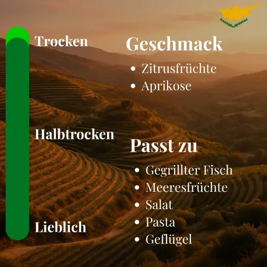Vasilikon Xynisteri Weißwein 2024 (trocken) - Flasche 0,75 Liter