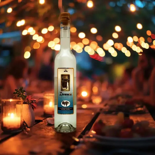 Zivania_weiss_beim_Abendessen