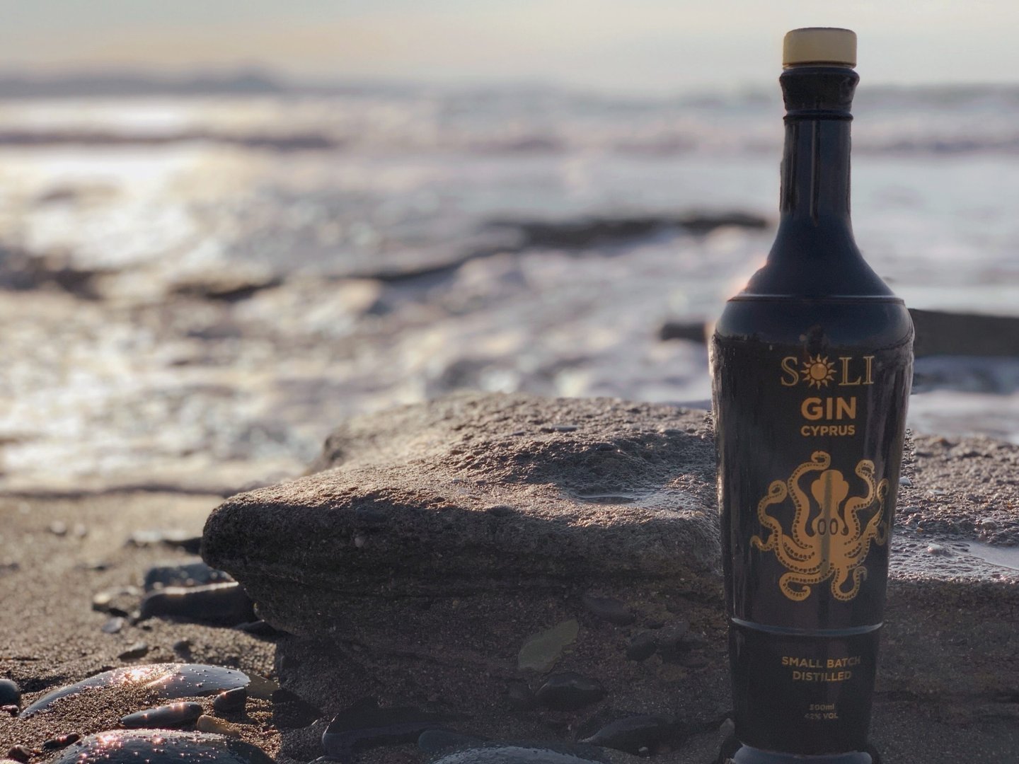 Soli Premium Founders Edition Gin - Limited Edition - Flasche 0,50 Liter - Exclusive Food GmbH