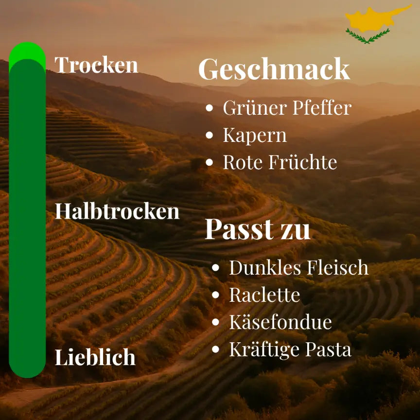 Rotwein "Methy" Cabernet Sauvignon (trocken) - Jahrgang 2020 - Vasilikon Weingut - Flasche 0,75 Liter